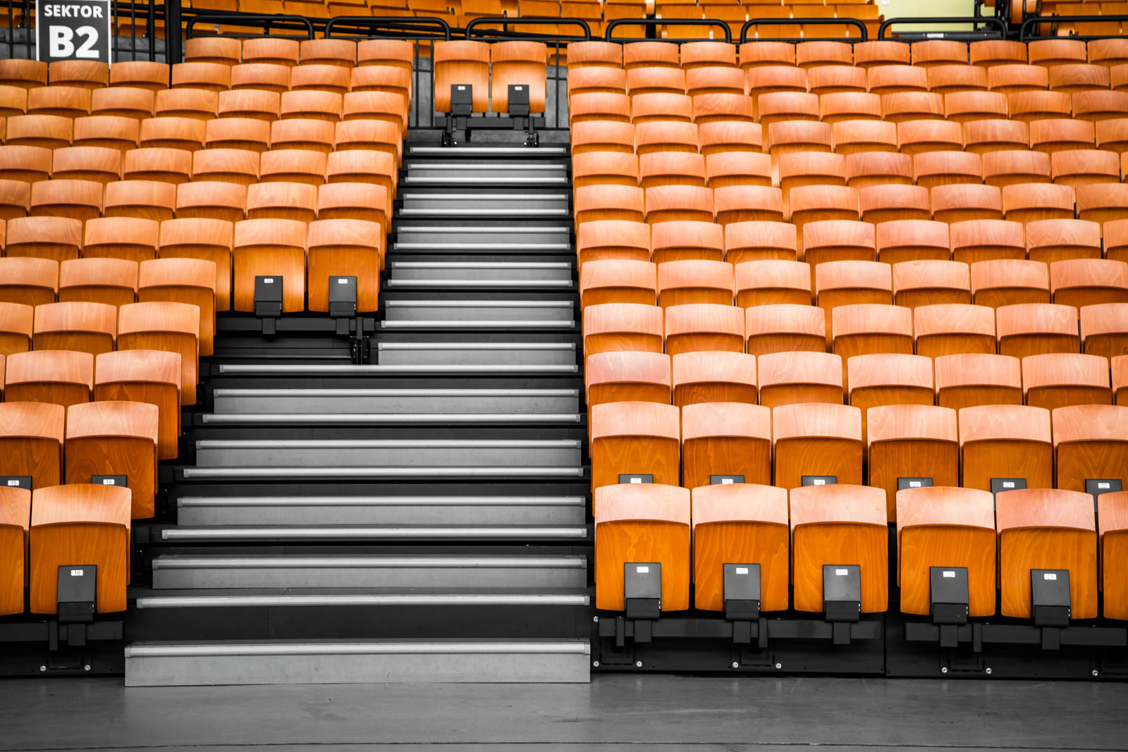 Our grandstands in the legendary Centennial Hall - News